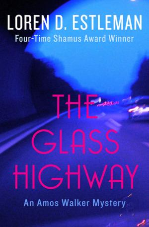 Cover of the book The Glass Highway by Lesley Glaister
