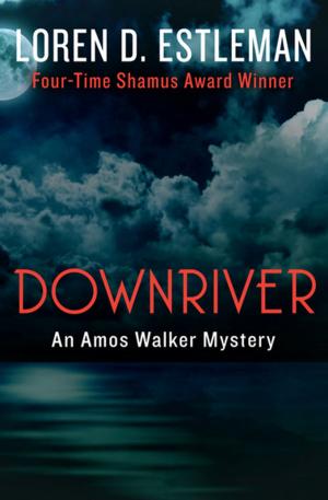Cover of the book Downriver by John J. Nance