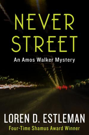 Cover of the book Never Street by Steve Erickson