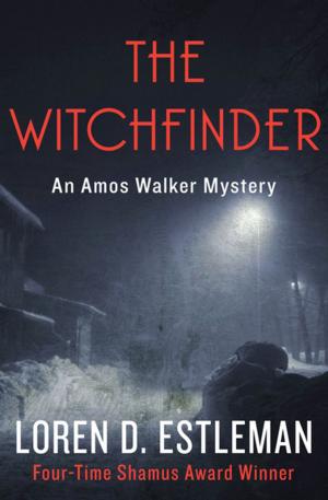 Cover of the book The Witchfinder by Brett Halliday