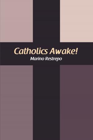 Cover of the book Catholics Awake! by Darby Rae