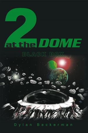 Cover of the book 2 at the Dome by Sophia Nicole Barrett-Benton