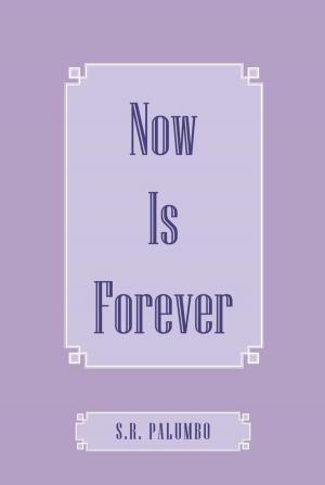 Cover of the book Now Is Forever by Richard McKenzie Neal
