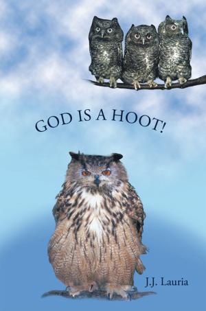 Cover of the book God Is a Hoot! by Kevin Guest