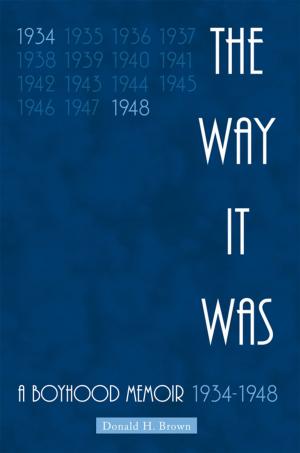 Cover of the book The Way It Was by Mike Haszto