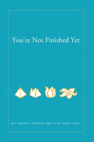 Cover of the book You're Not Finished Yet by Shaun Mehta