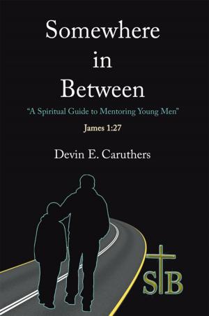 Cover of the book Somewhere in Between by Duane Andry