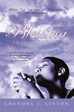 Cover of the book The Blessing in Disguise by Greg Kinsch