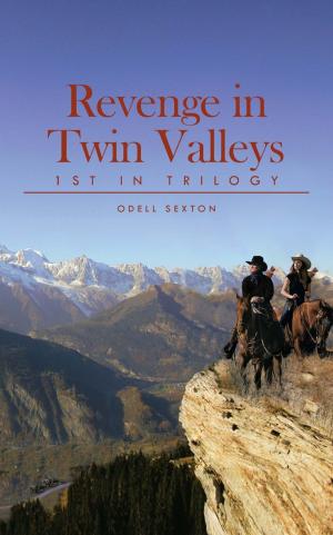 Cover of the book Revenge in Twin Valleys by Mandy Claridge