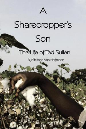 Cover of the book A Sharecropper's Son by Don Levin