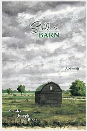 Cover of the book Stella's Barn by B. Oyeniran Adediji