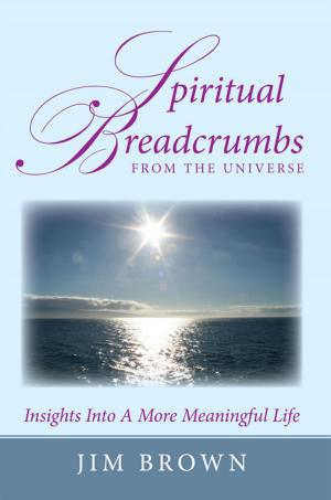 Book cover of Spiritual Breadcrumbs from the Universe