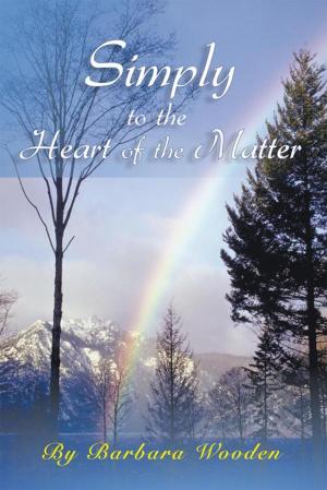 Cover of the book Simply to the Heart of the Matter by Walter Lizando Hidalgo-Olivares