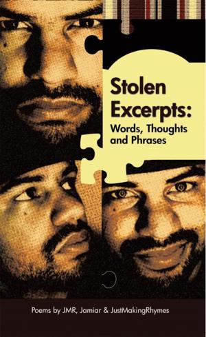 Cover of the book Stolen Excerpts by Briana Manning