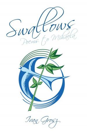 Cover of the book Swallows by Mirian Detres-Hickey