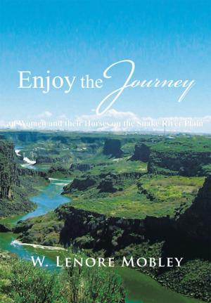 Book cover of Enjoy the Journey