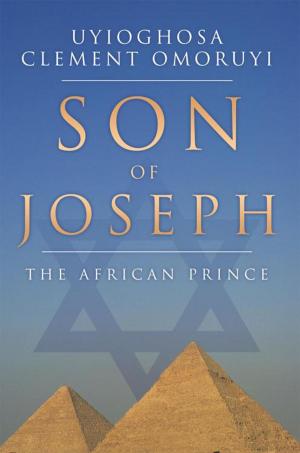 Cover of the book Son of Joseph by Bradley Perera