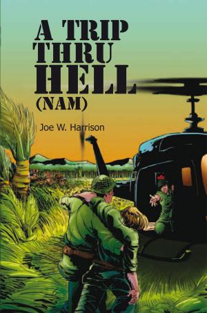 Cover of the book A Trip Thru Hell (Nam) by Tom Reilly