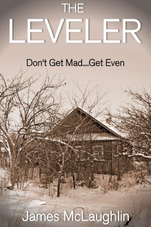 Cover of the book The Leveler by Allan Guthrie