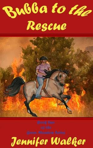 Book cover of Bubba to the Rescue