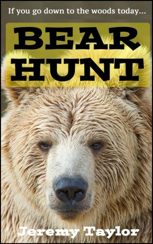 Book cover of Bear Hunt