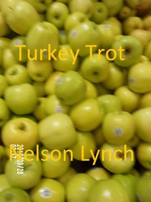 Book cover of Turkey Trot