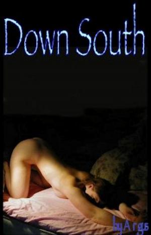 Book cover of Down South