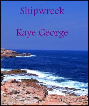 Cover of the book Shipwreck by Janae Mitchell
