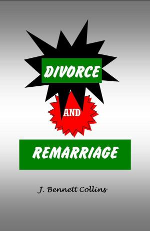 Book cover of Divorce and Remarriage