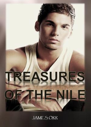 Cover of Treasures of the Nile