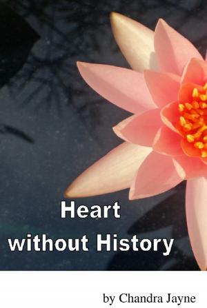 Cover of the book Heart without History by J. K. Edwards