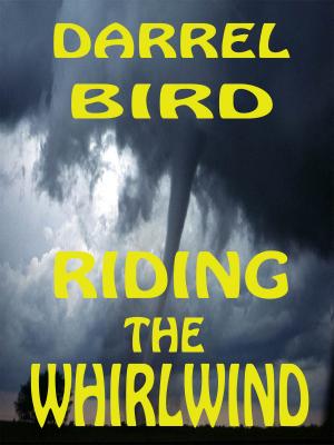 Book cover of Riding The Whirlwind