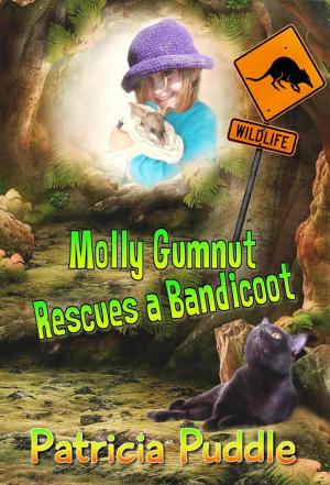 Cover of the book Molly Gumnut Rescues a Bandicoot by Corbert Windage
