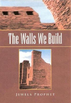 Book cover of The Walls We Build