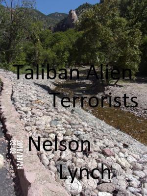 Cover of the book Taliban Alien Terrorists by N.J. Slater