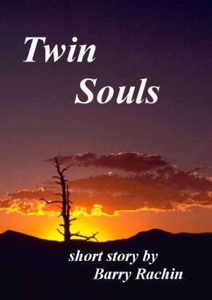 Cover of the book Twin Souls by Barry Rachin