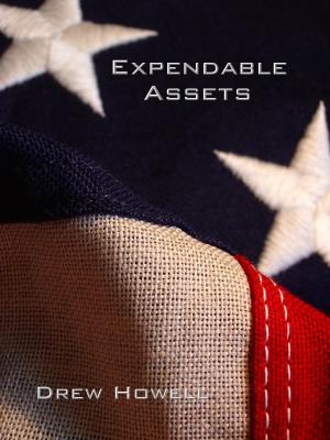 Cover of the book Expendable Assets by Johann Laesecke