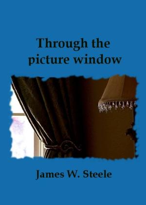 Book cover of Through the picture window