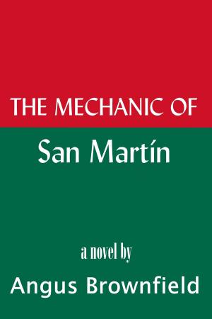 Cover of the book The Mechanic of San Martín by Angus Brownfield