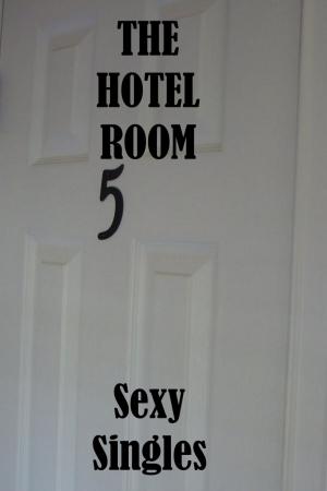 bigCover of the book The Hotel Room. by 
