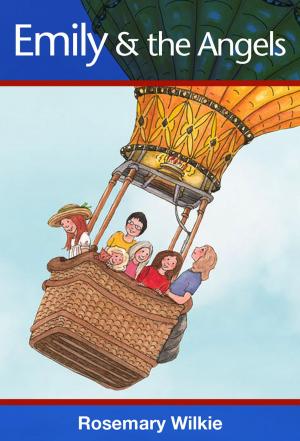 Cover of the book Emily and the Angels by Robert Mayfield