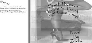 Cover of poeMNovel: Letter's to a Jail House Thug