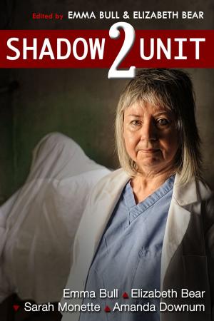 Cover of the book Shadow Unit 2 by Steven Brust, Nancy Kress, Gene Wolfe, Jane Yolen, Will Shetterly, Emma Bull