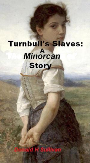 Cover of the book Turnbull's Slaves: A Minorcan Story by Marianne Petit