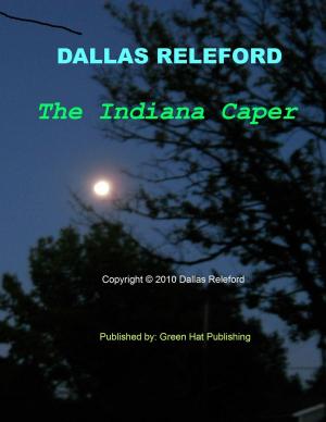 Book cover of The Indiana Caper