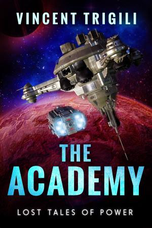 Cover of the book The Academy by Vincent Trigili