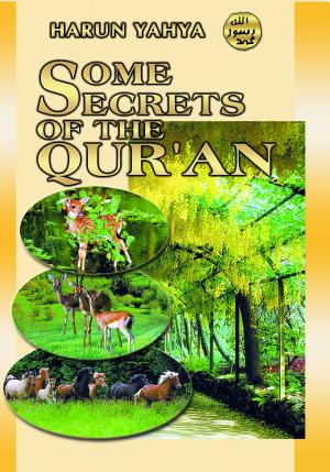 bigCover of the book Some Secrets of the Qur'an by 