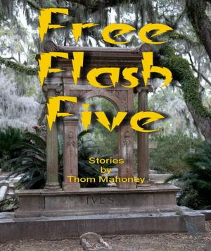Cover of the book Free Flash Five by Joshua Jones