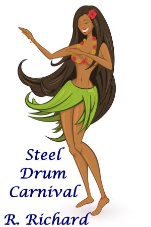 Book cover of Steel Drum Carnival