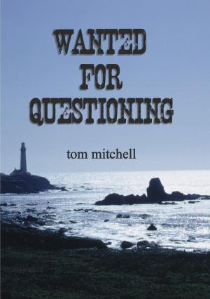 Book cover of Wanted for Questioning